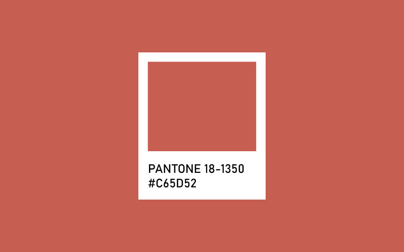 Burnt Sienna - 2023 Yılın Pantone Renkleri