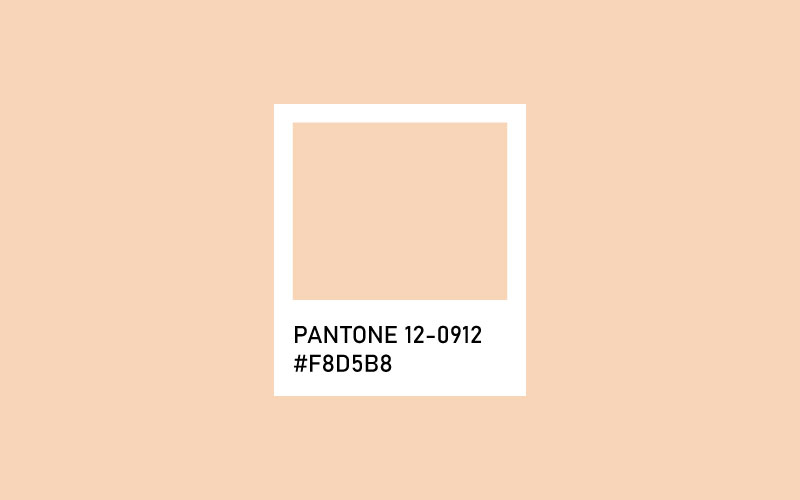 Tender Peach - 2023 Yılın Pantone Renkleri