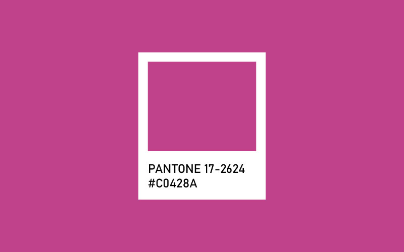 Rose Violet - 2023 Yılın Pantone Renkleri