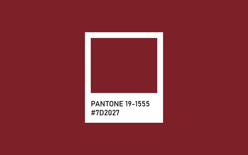 Red Dahlia - 2023 Yılın Pantone Renkleri