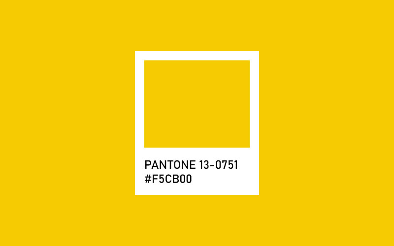 High Visibility - 2023 Yılın Pantone Renkleri